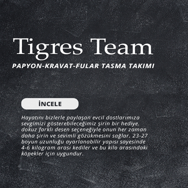 Tigres Team Ekose Desenli Papyon-Kravat-Fular Kedi Tasma Takımı